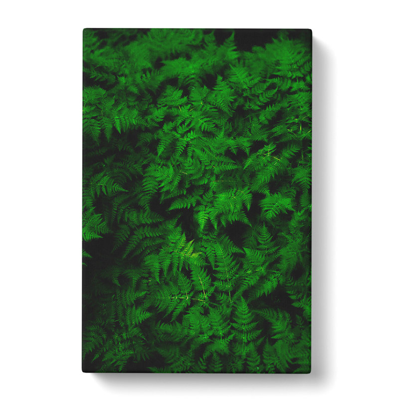 Fern Leaves Vol.3 Painting - Wrapped Canvas, 50cm H x 35cm W x 3cm D