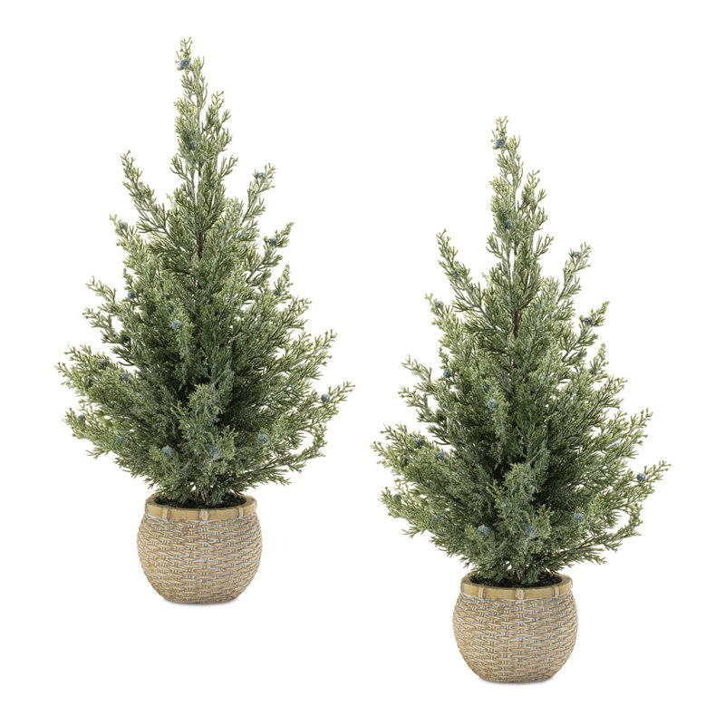 Potted Mini Pine Tree (Set of 2)