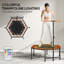 EvoNet Trampoline