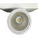 Encina Aluminum LED Wall Light