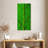Green Leaf-475661702