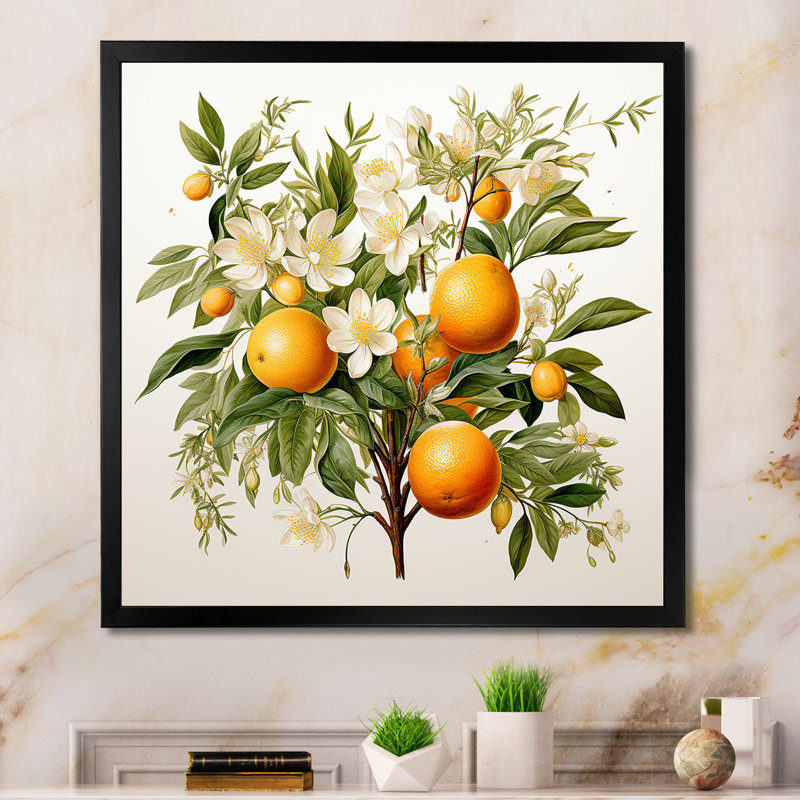 Art mural sur toile de fruits, impression botanique d'oranger, Cadre simple noir, H 24 po x l 24 po x P 1 po
