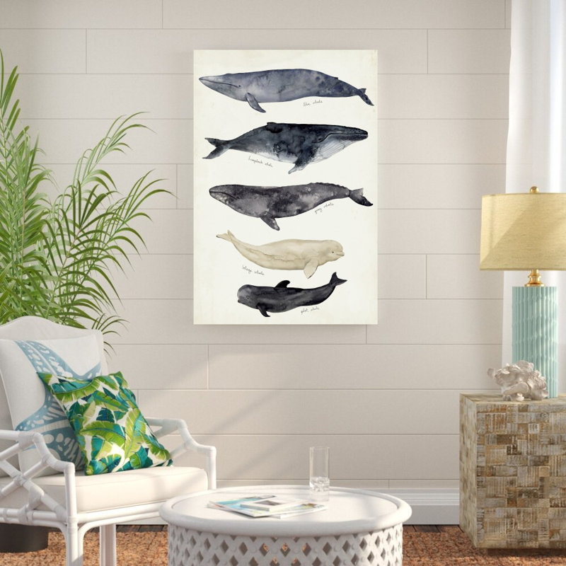Reproduction d’art sur toile tendue « Whale Chart II » par Victoria Barnes, H 48 po x l 32 po