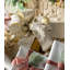 Fleurs Jardin Pattern Ribbon