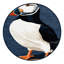  Tapis lavable Puffin Atlantic-634378036
