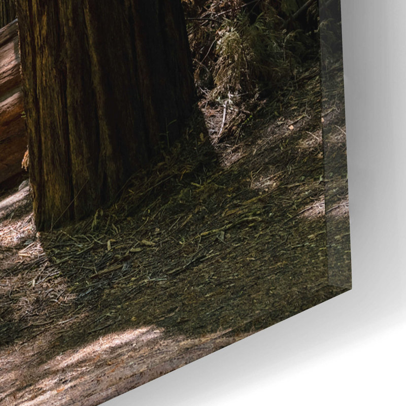 «Trees 3» par Epic Portfolio, art mural en verre acrylique, H 16 po x l 12 po x P 0,13 po