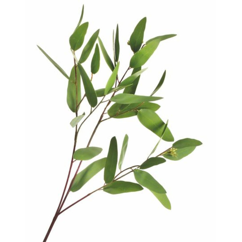 31'' Faux Eucalyptus Branch