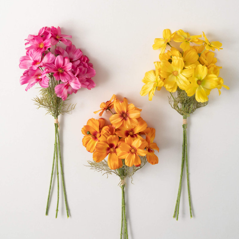 Arrangement cosmos