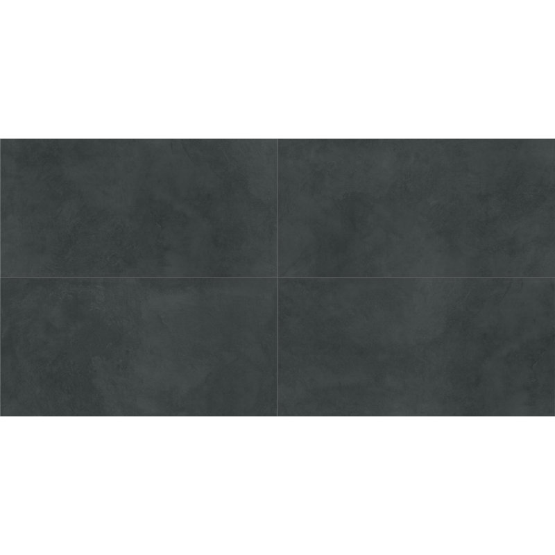 Daltile Indoterra 24 x 48 Colorbody Porcelain Floor Tile with Stepwise Technology (2 PCS Per Carton) (15.26 SQFT Per Carton)
