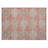 Machine Washable Indoor/Outdoor Christain ACN1449 Salmon Rug-109533358