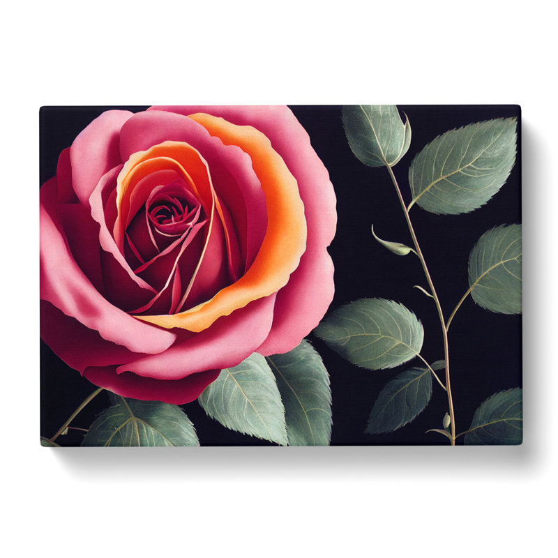 Beaming Rose Flower - Wrapped Canvas, 35cm H x 50cm W x 3cm D
