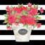 George George Jacobs, Cindy Gallery, art sur toile tendue: rayures fuchsia-45890520