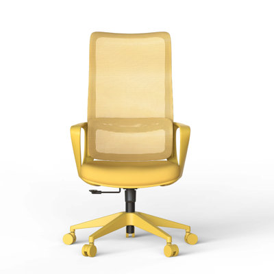 Ergonomic Colorful Office Chair 350LBS Home Office Mesh Breathable High Back, With Adjustable Lumbar Support Computer Chair, Integrated Molded Foam Seat Cushion, Fireproof