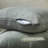 Decorative Throw Cushion Covers-70158568-70158548