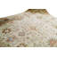 Wool Oriental Area Rug in Sand/Beige