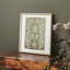 William Morris, reproduction encadrée CL XXXVI-408967008-408967013