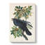 Raven by John Audubon - Wrapped Canvas-55322629