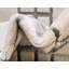 Tapis contemporain blanc cassé Corando-95849368
