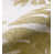 Lima Yellow