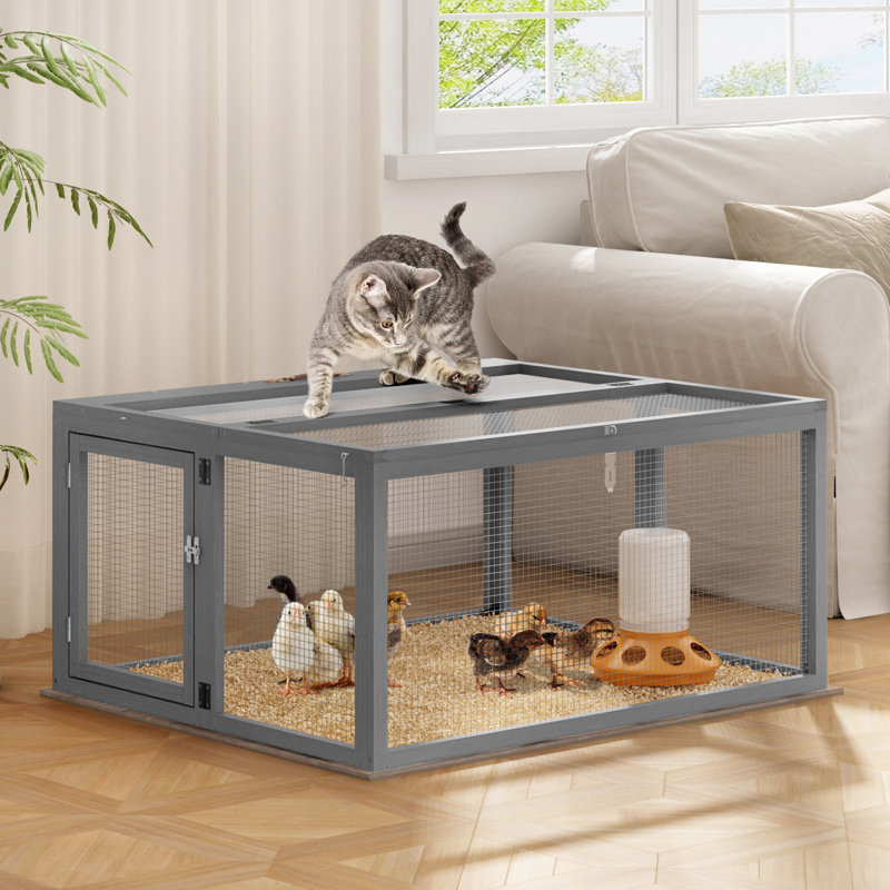 Poulailler portatif Coaxum, panneau solaire verrouillable, gris
