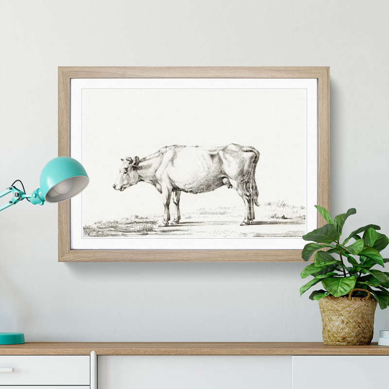 The Portrait of a Cow by Jean Bernard - Picture Frame Drawing Print, 36cm H x 48cm W x 2cm D, Oak Framed