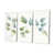 Toile tendue