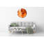 Jewelean Glass Wall Clock