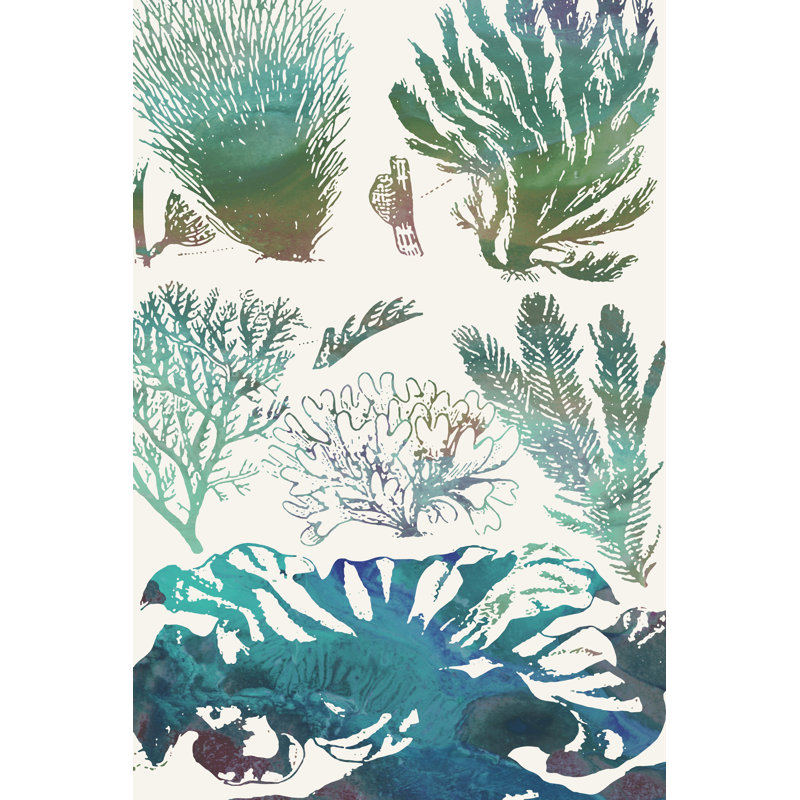 Aquatic Assemblage II by Sharon Chandler - Painting, 91 cm H x 61 cm W, Wrapped Canvas