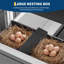 Chicken Coop