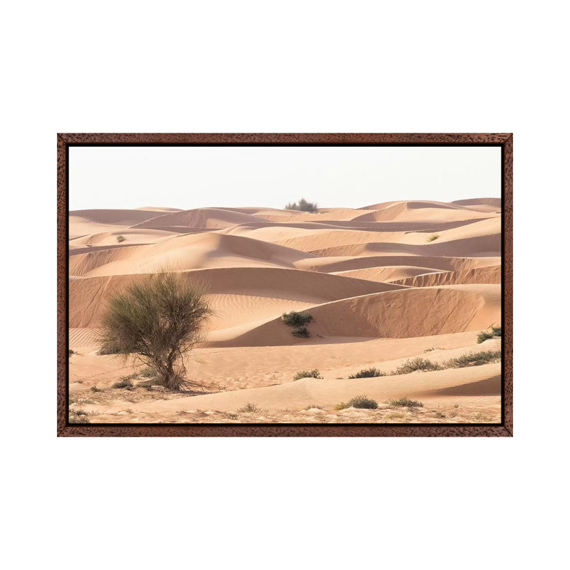 Desert With Sand. Abu Dhabi, United Arab Emirates. by Tom Norring - Gallery-Wrapped Canvas Giclée on Canvas