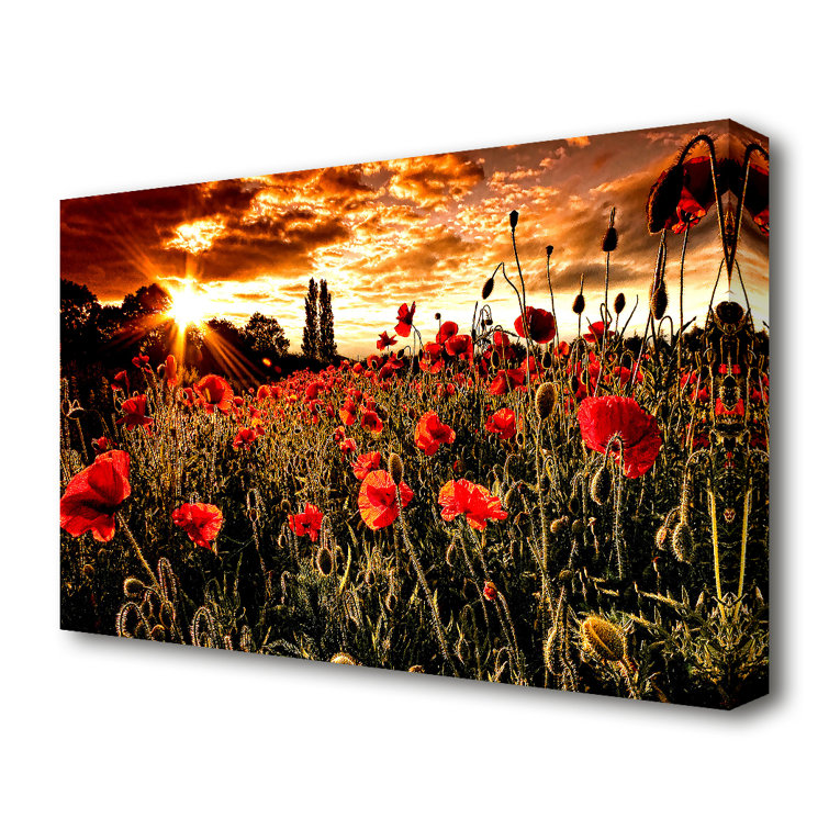 East Urban Home Red Poppy Field At Sunset Flowers - Wrapped Canvas ...