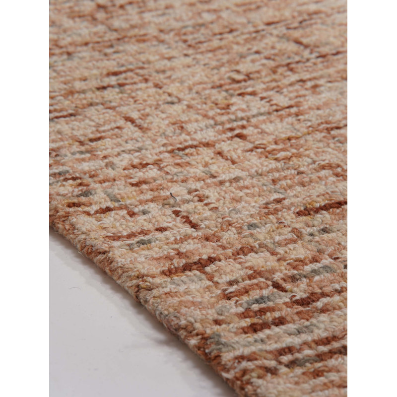 Tapis intérieur touffeté à la main 100% laine brun clair, Rectangulaire 4 pi x 6 pi, Marron clair