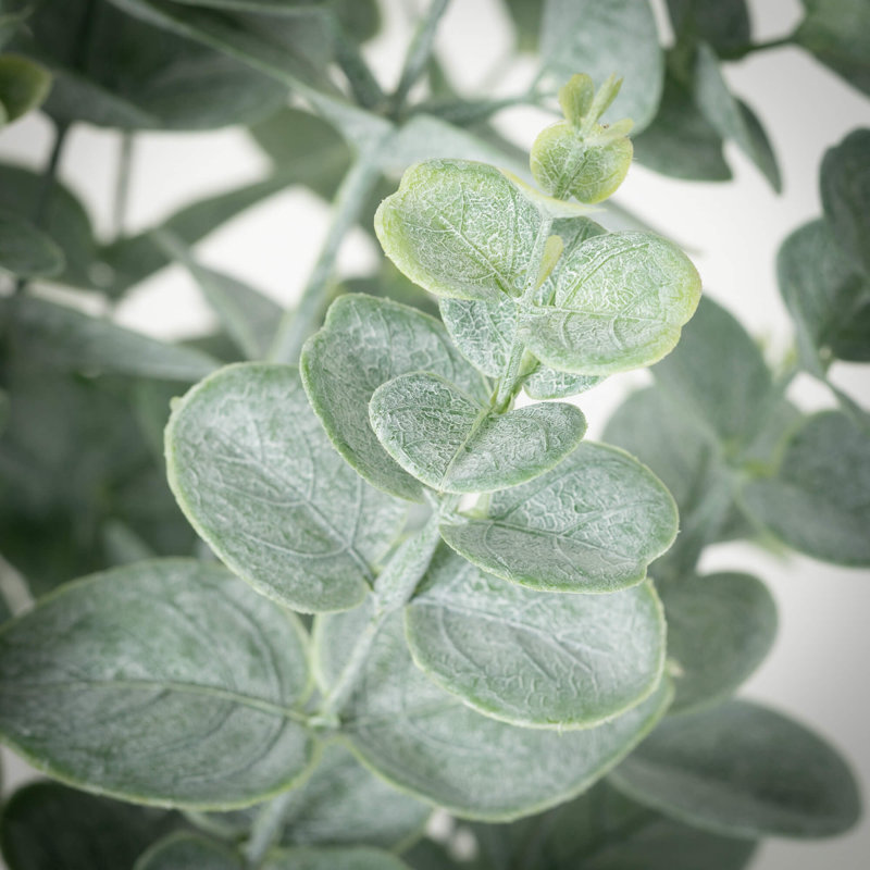 Artificial Small Potted Eucalyptus Tree 27"H; Green