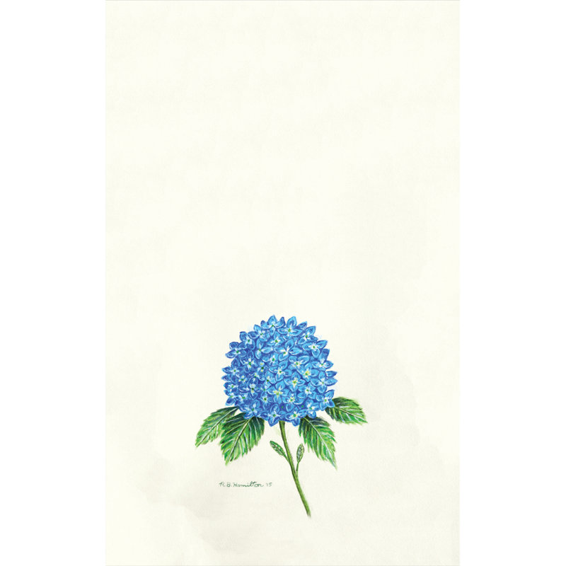 Chiffons hortensia Ansley