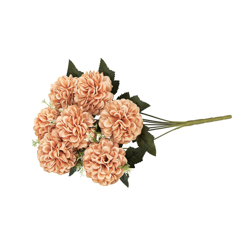 Bouquet de tiges de maman, Café