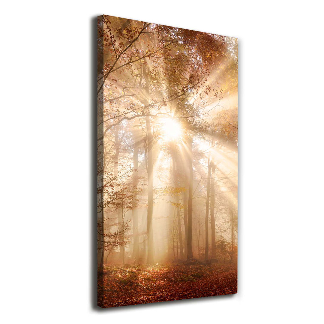 Herbstwald - Kunstdrucke auf Leinwand - Wrapped Canvas