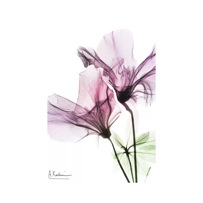 Splendid Beauty II by Albert Koetsier - Wrapped Canvas Print, 101.6 cm H x 66.04 cm W x 3.175 cm D