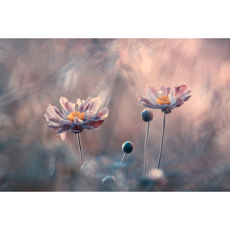 Wrapped Canvas Print, 50.8 cm H x 76.2 cm W