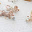 Tapis pour bébé Little Landings-123349737
