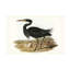 Bologle «Majestic Waterbird IV» sur un cadre-98248616