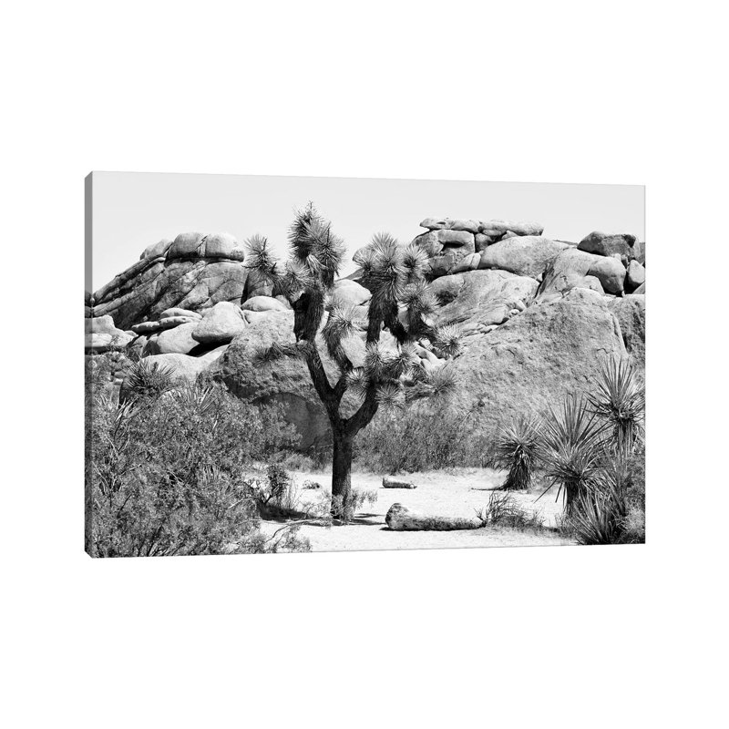 «Black California Series - Joshua Tree» par Philippe Hugonnard - reproduction de photo sur toile tendue