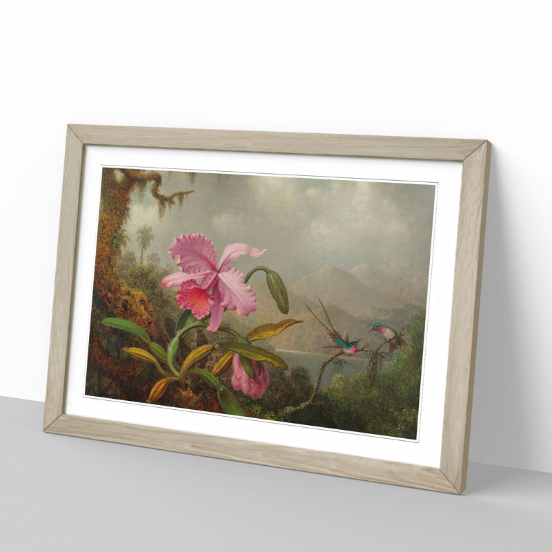 Orchid with Hummingbirds Vol.1 by Martin Johnson Heade - Picture Frame Painting, 27cm H x 36cm W x 2cm D, Oak Framed