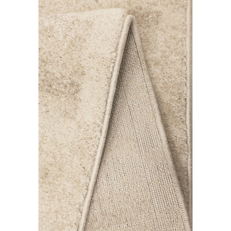 Shianne Oriental Area Rug, Rectangle 120 x 170cm