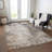 Machine Washable Indoor/Outdoor Segin ACN1179 Putty Rug-109514556