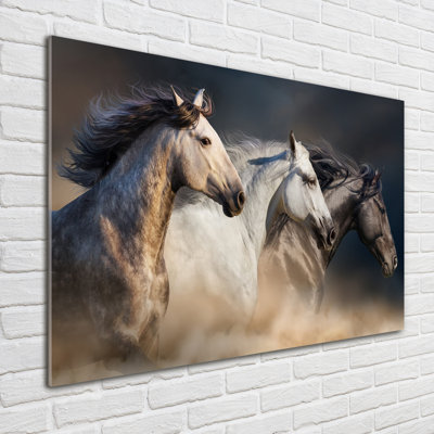 Horses In A Gallop - No Frame Print on Glass