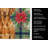 Vizsla Christmas PoinsettIas Kitchen Towel-2080584011