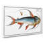 Saltwater Catfish by M.E. Bloch - Wrapped Canvas-55323501