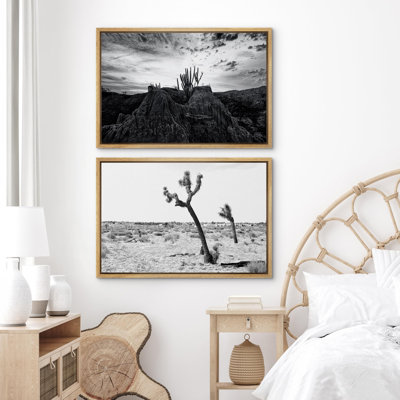 Cactus, désert, sud-ouest, désert, cactus, paysage, nature, ouest, 2 pièces