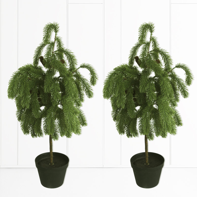 Artificial Norfolk Pine Tree