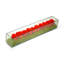 Preserved Roses in Rectangular Glass Box-210789865